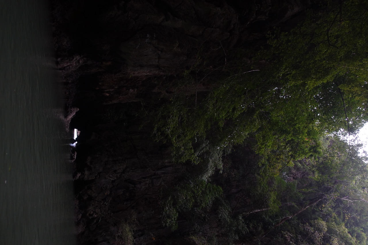 DSC05236.jpeg