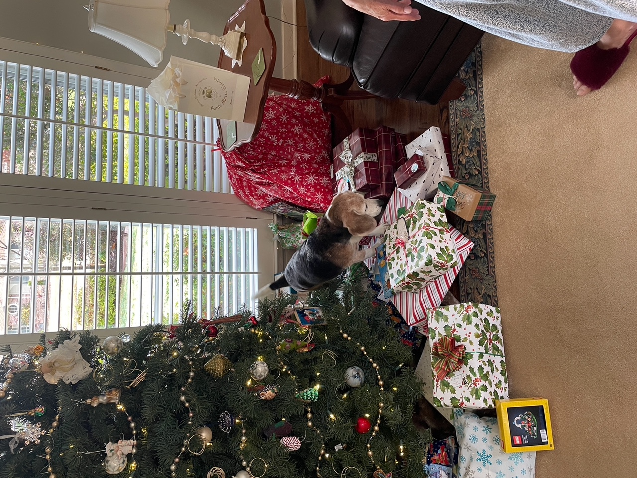 IMG_5383+2.jpeg