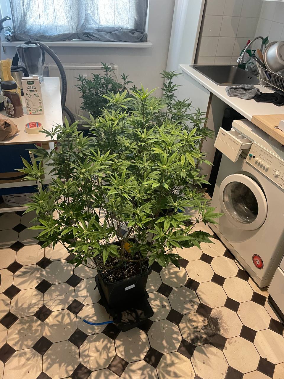 photo_2025-05-14 14.41.04.jpeg