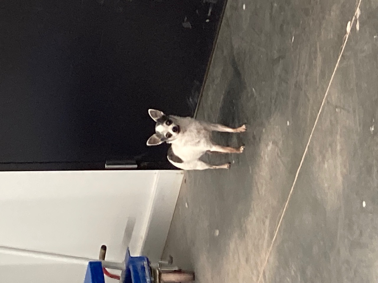 IMG_0696.jpeg