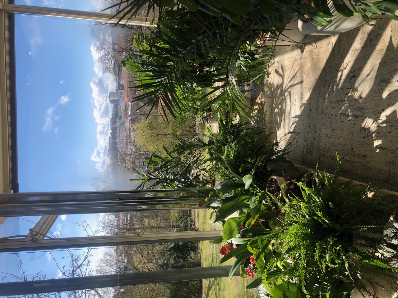 IMG_2771.jpeg