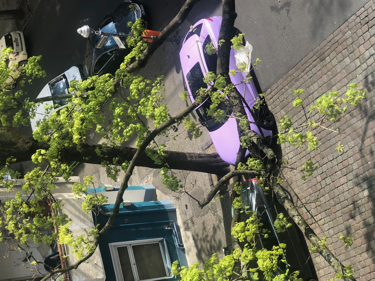 IMG_4040+2.jpeg