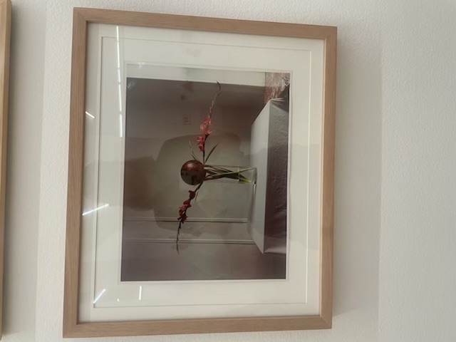 IMG_5155.jpeg