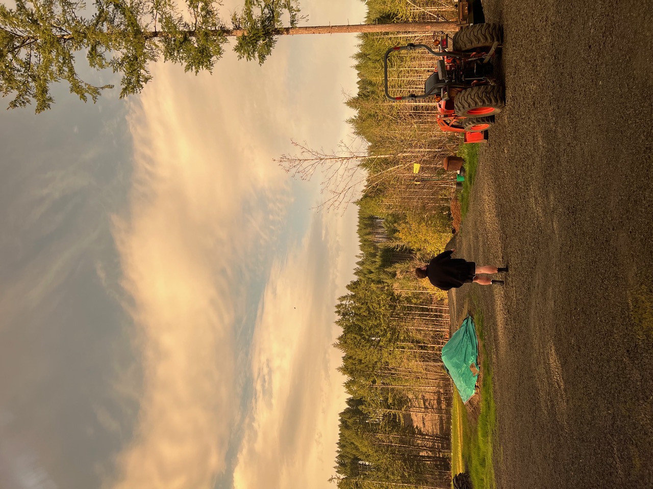IMG_6267.jpeg