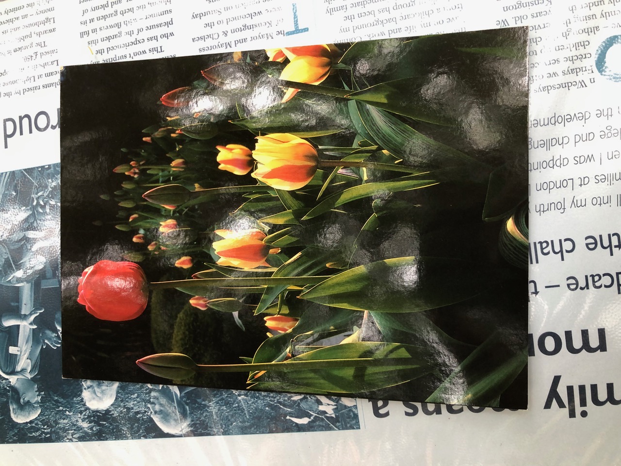 IMG_6390.jpeg