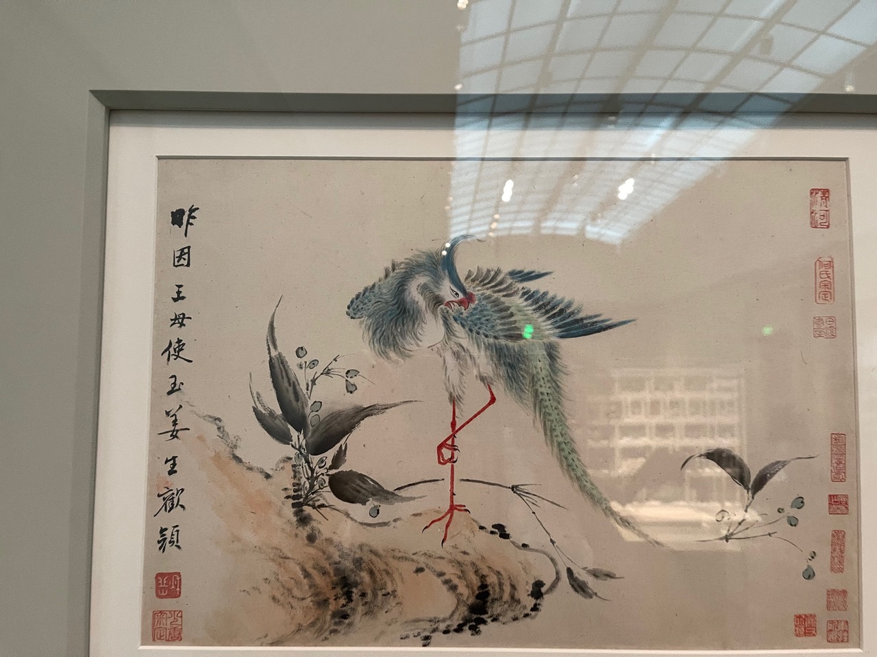 IMG_8649.jpeg