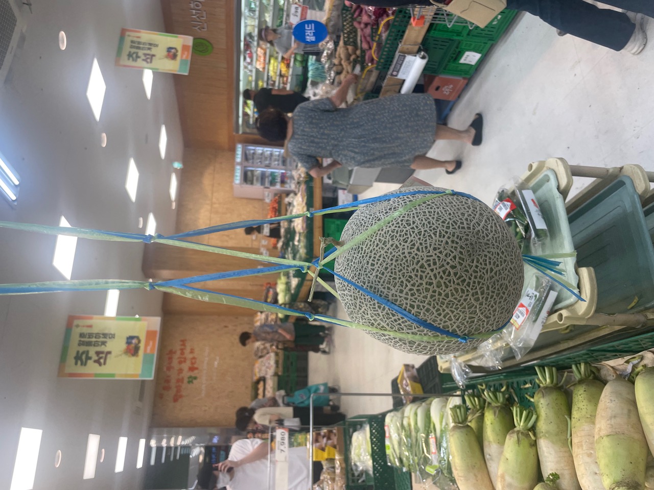 IMG_6903.jpeg
