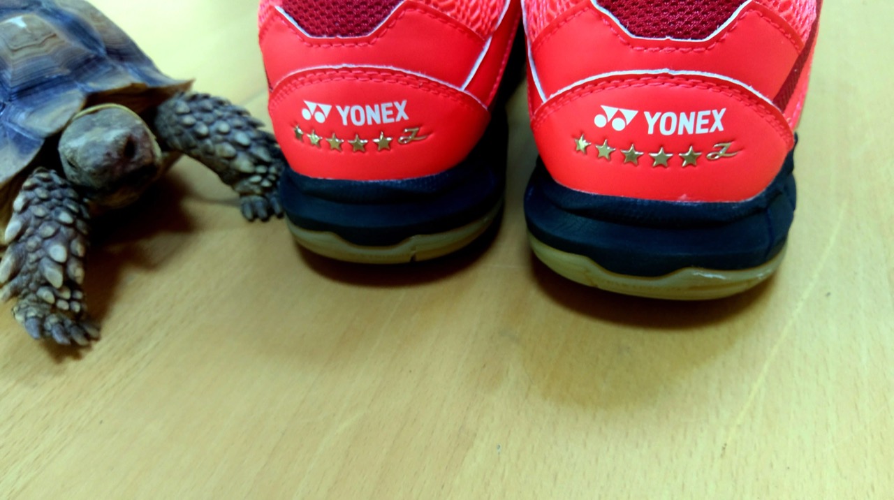 8aed2124d0014686abc877724962d423.jpeg