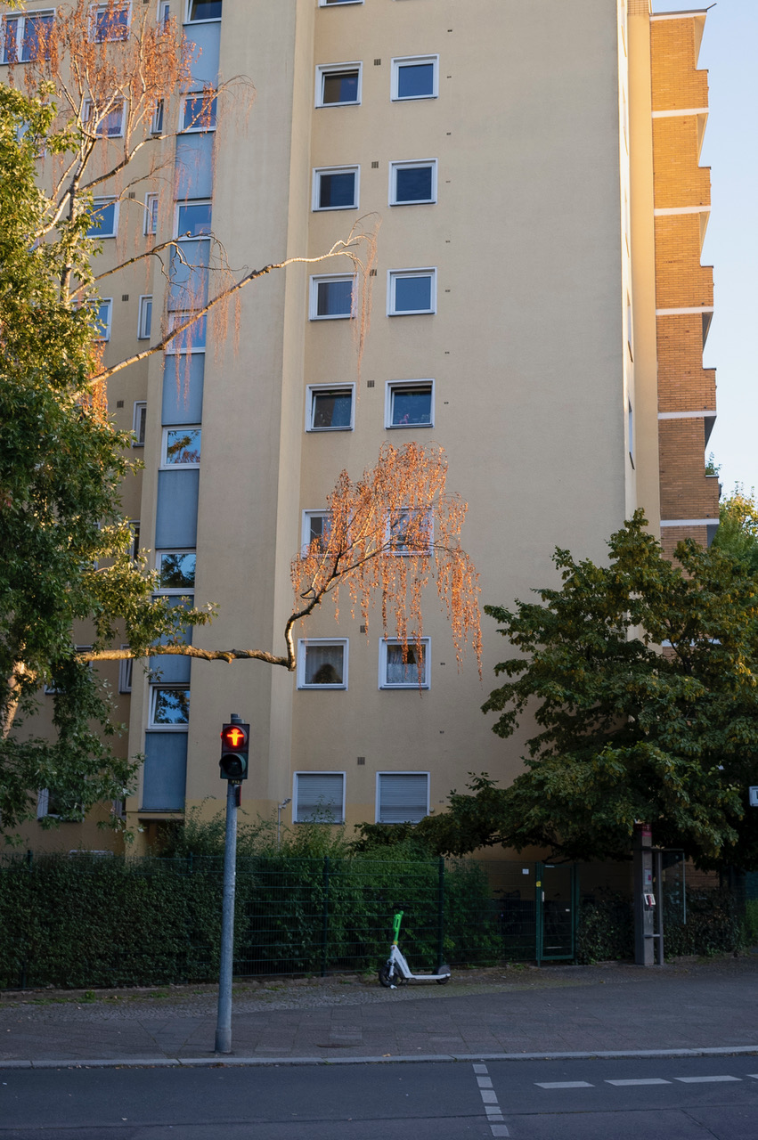 R0008680.jpeg