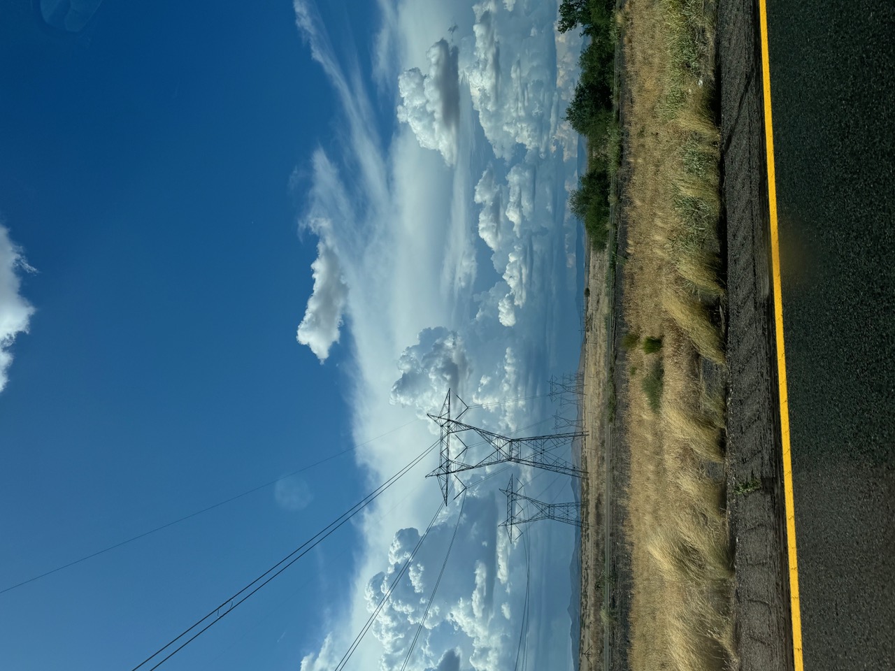 IMG_2108.jpeg