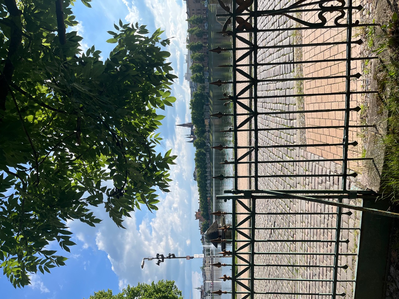 IMG_6508.jpeg