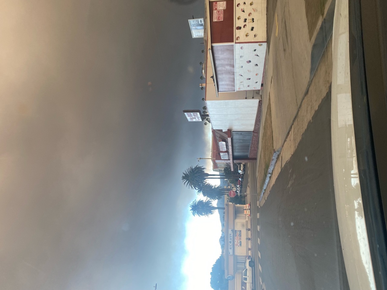 IMG_8865 2.jpeg