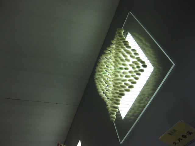 IMG_0370.jpeg