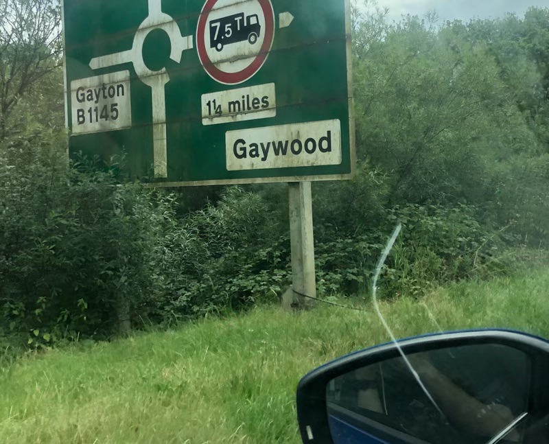 RenderedImage 3 4.jpeg