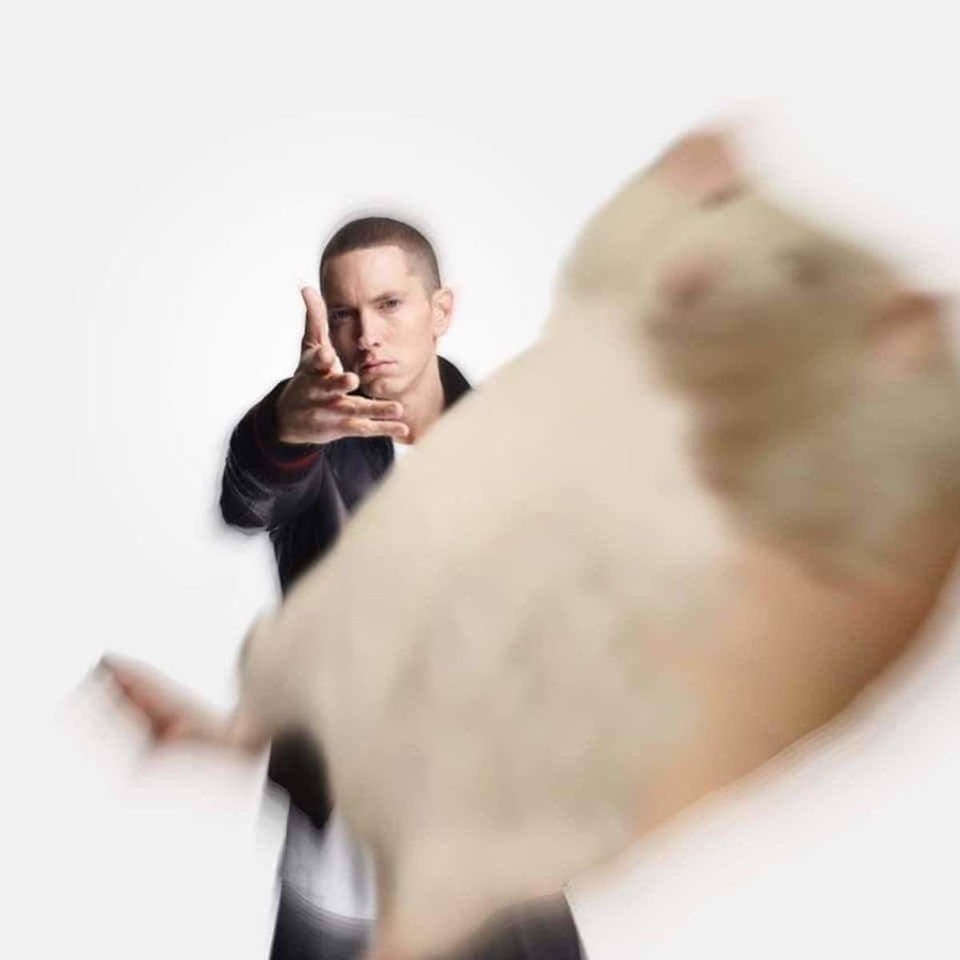 GDNLYZYXAAAtUNq.jpeg