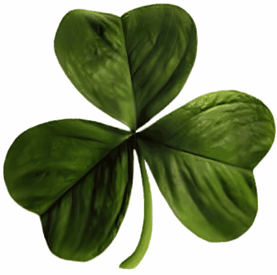 Irish_clover.svg.png