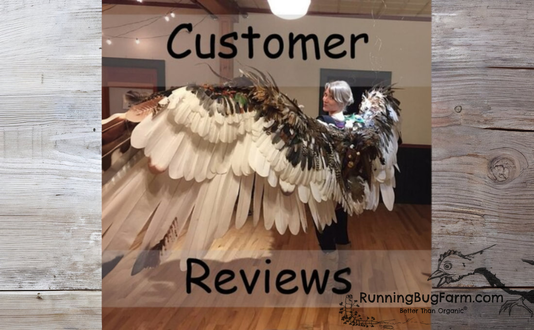wood-background-customer-reviews-ai-1_orig.jpg
