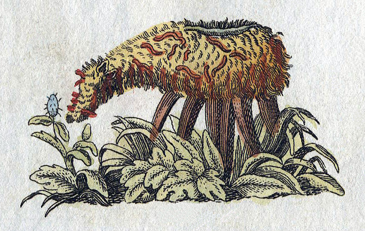 Bertuch-Vegetable-Lamb.png