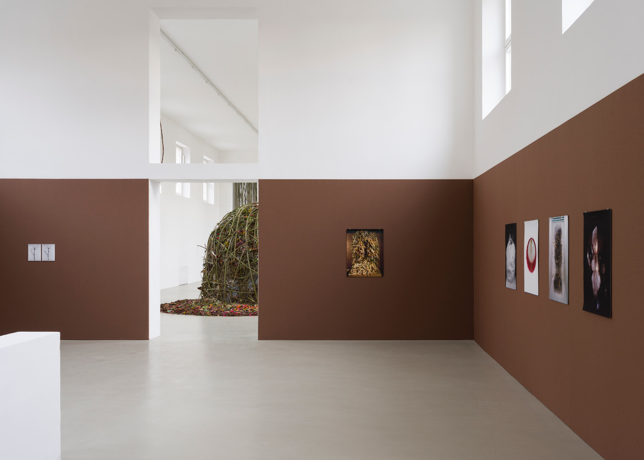 Kunstverein-Muenchen_Flower+Planet_2.jpeg