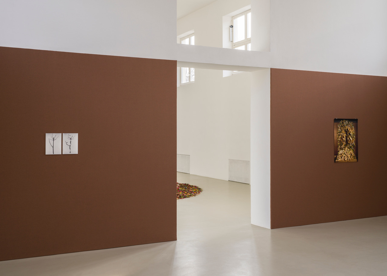 Kunstverein-Muenchen_Flower+Planet_20.jpeg