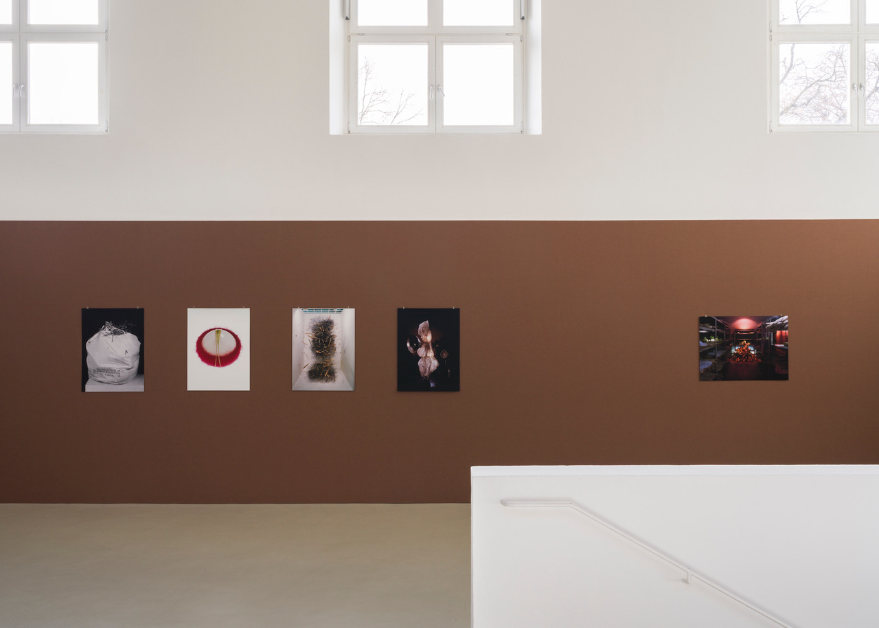 Kunstverein-Muenchen_Flower+Planet_3.jpeg