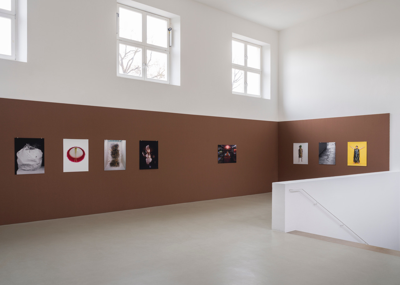 Kunstverein-Muenchen_Flower+Planet_4.jpeg
