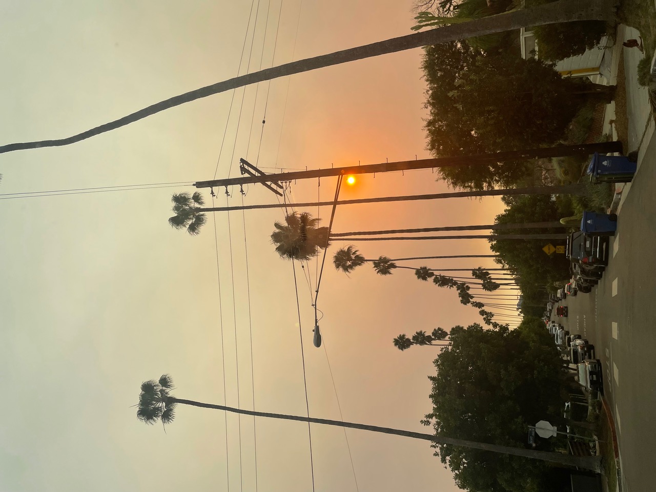 IMG_3363.jpeg