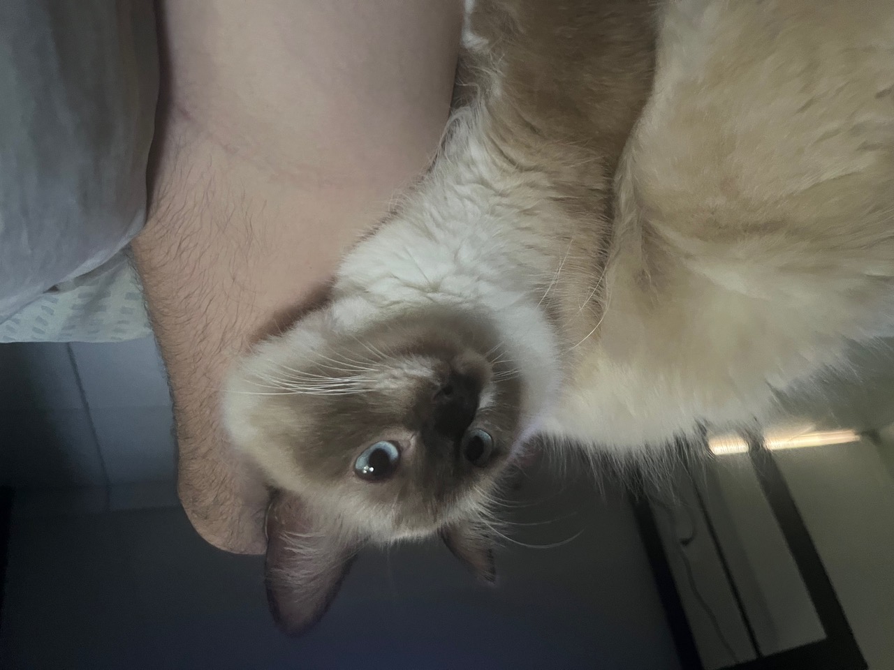 IMG_3917.jpeg