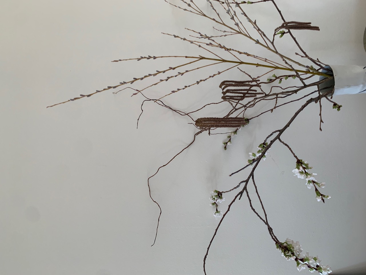 IMG_5324+2.jpeg