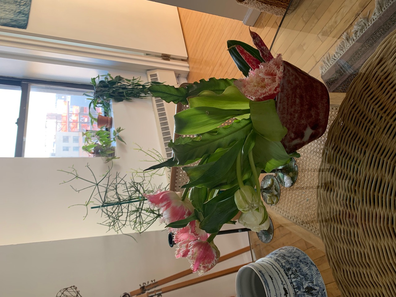 IMG_5326.jpeg