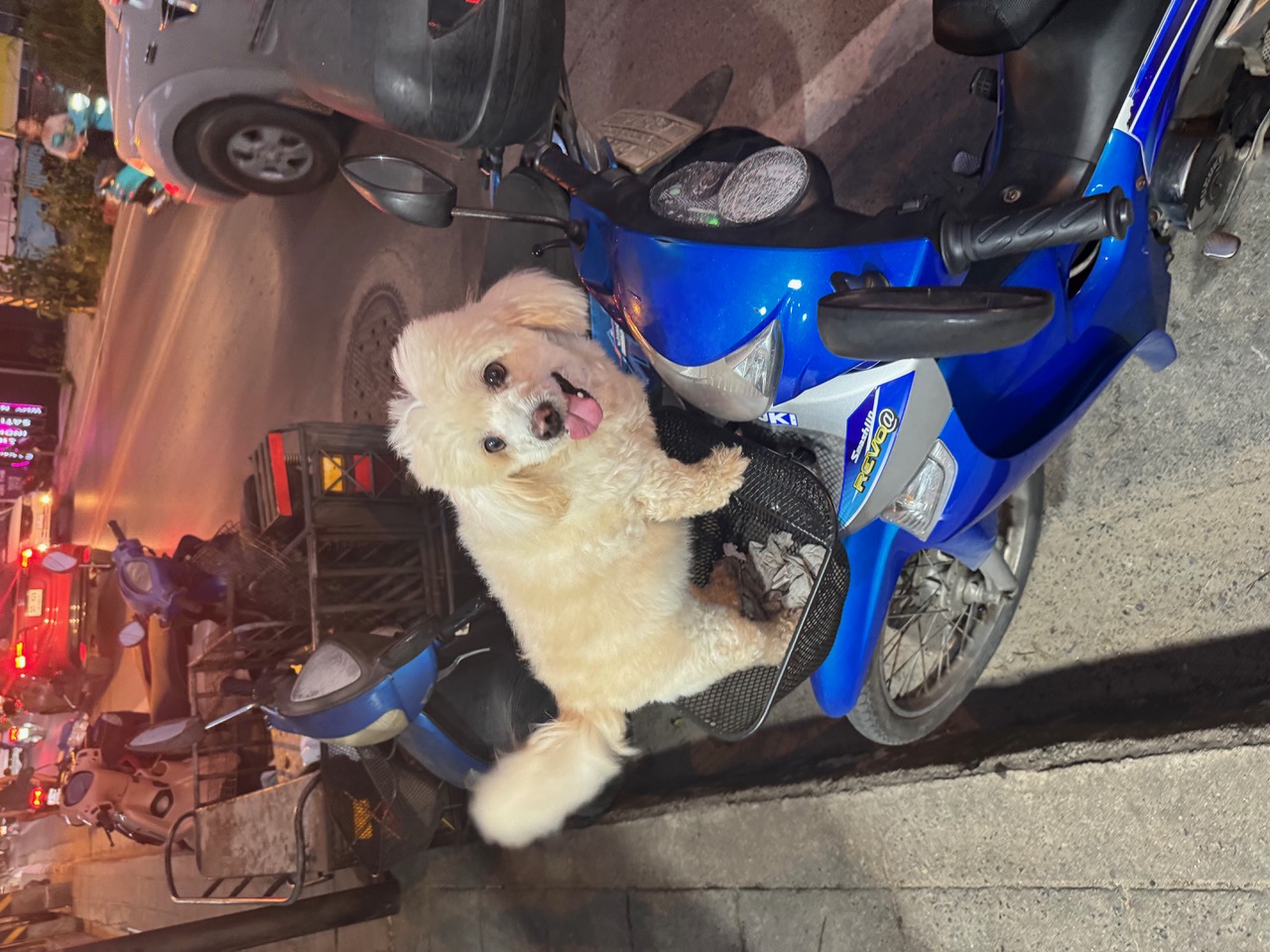 IMG_7577.jpeg