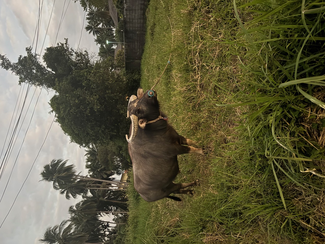 IMG_7578+3.jpeg