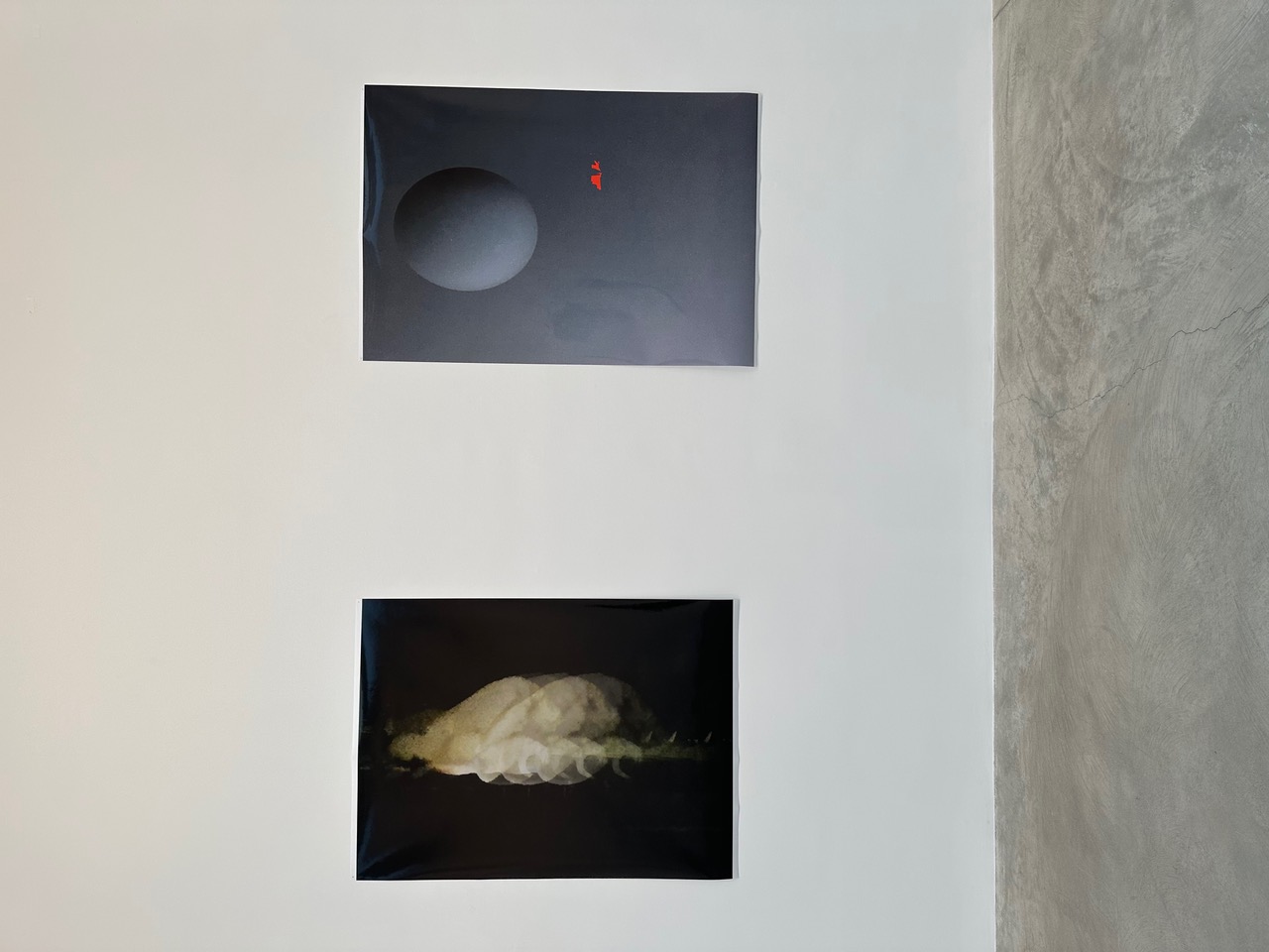 IMG_9133.jpeg