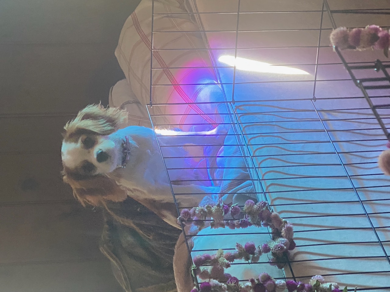 IMG_6956.jpeg