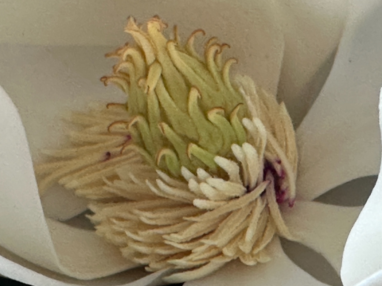 IMG_4140+2.jpeg