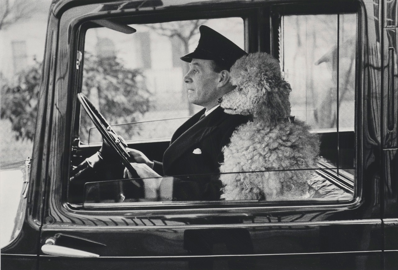 2021_PAR_20147_0402_000%28thurston_hopkins_la_dolce_vita_knightsbridge_londres_1953074919%29.jpeg