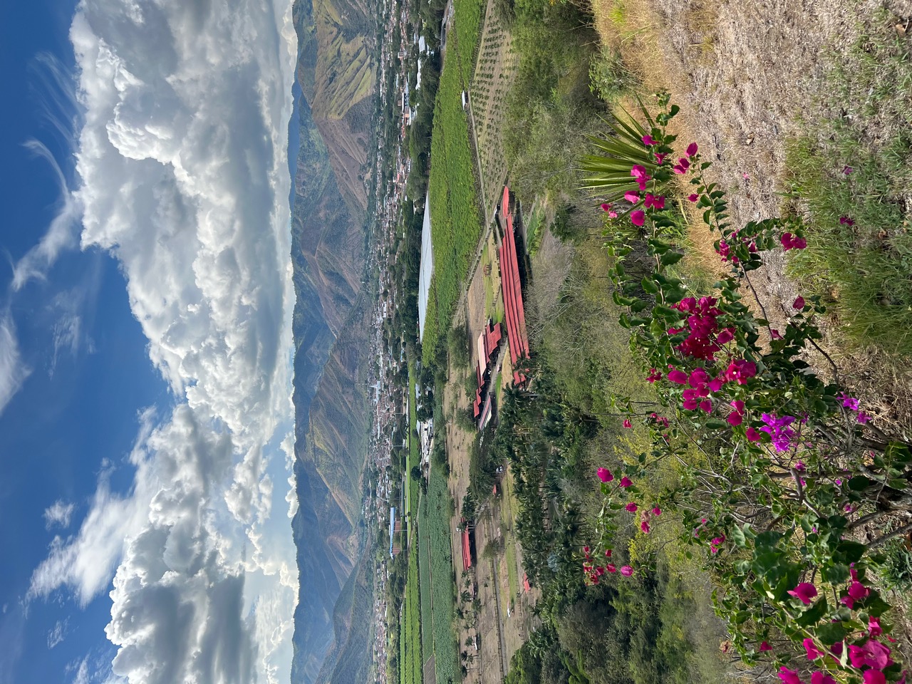 IMG_1879.jpeg