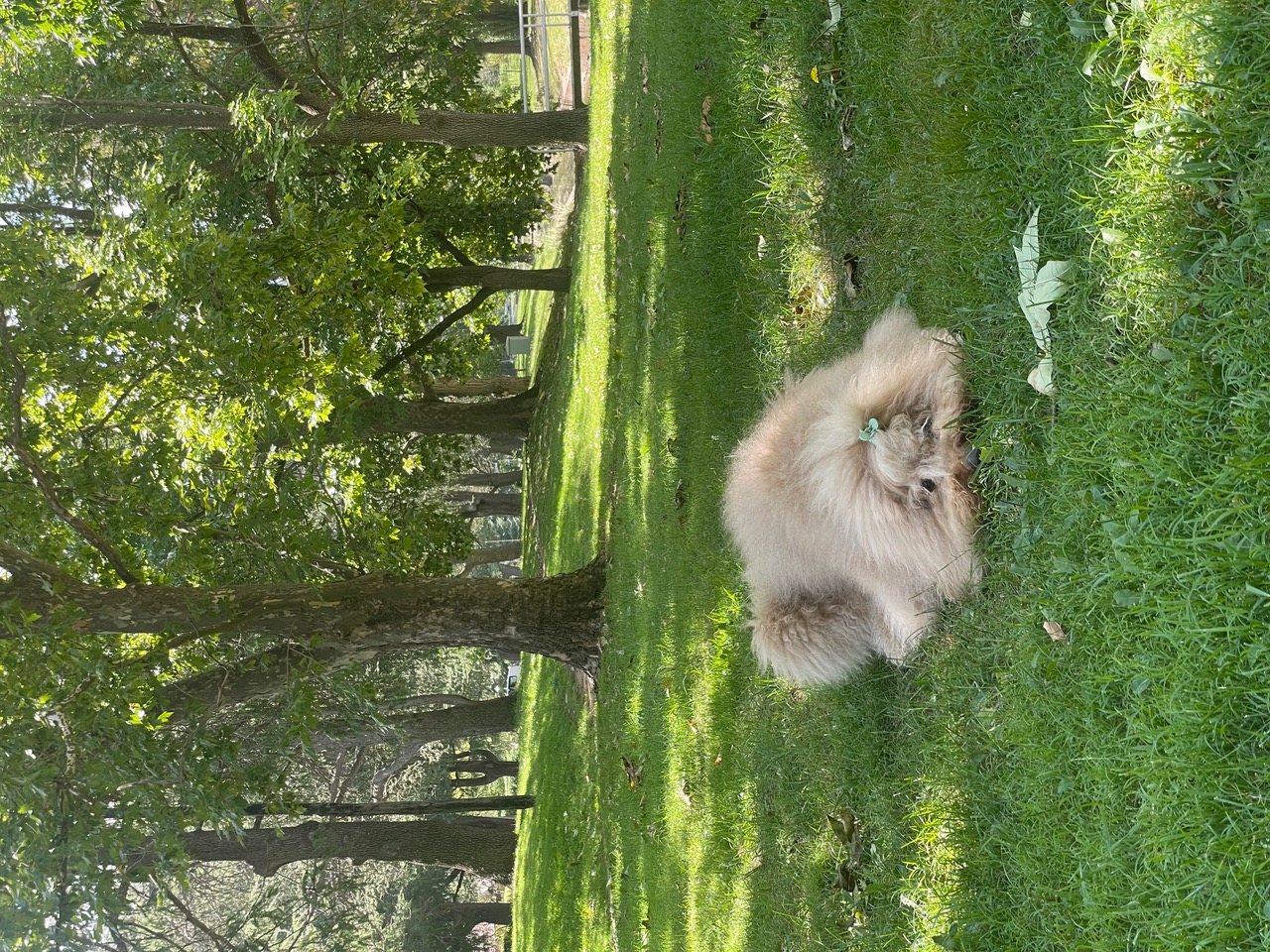 IMG_4502.jpeg