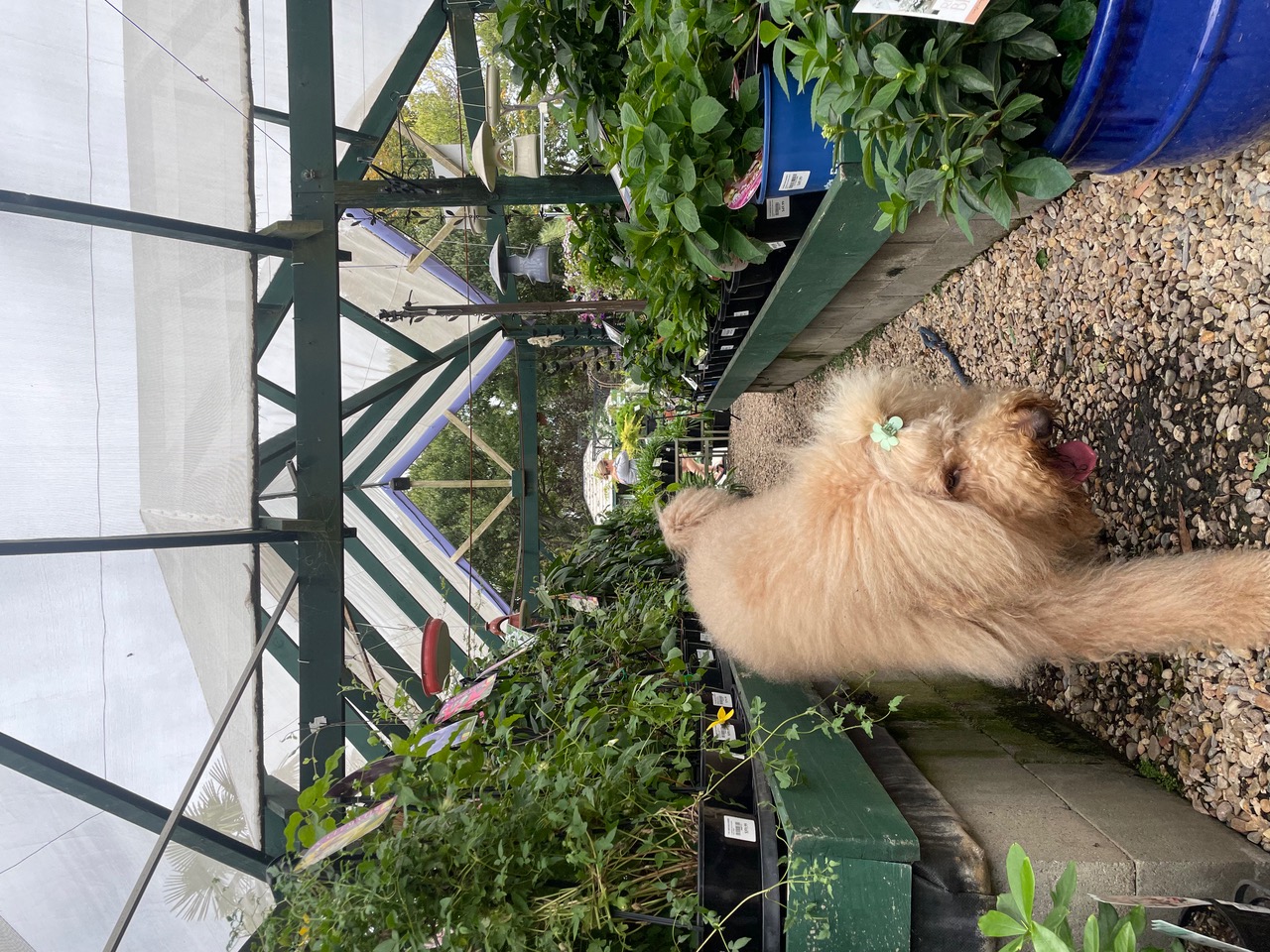 IMG_4579+2.jpeg