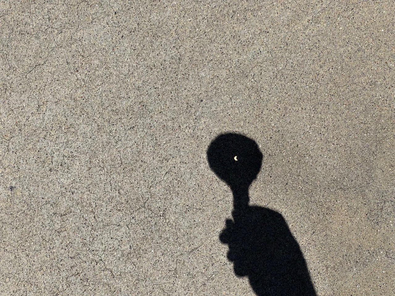 IMG_5258.jpeg