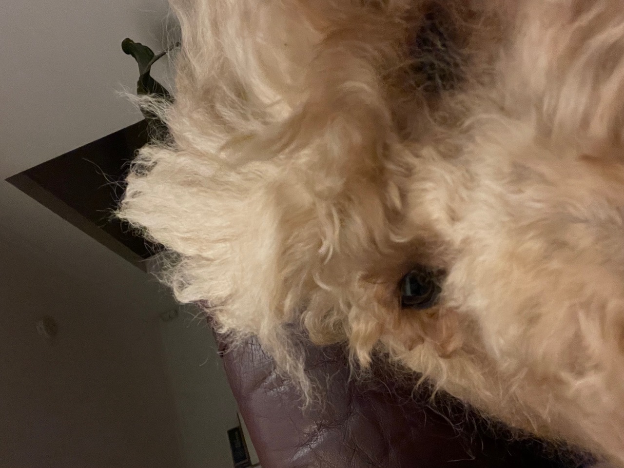 IMG_5359+3.jpeg
