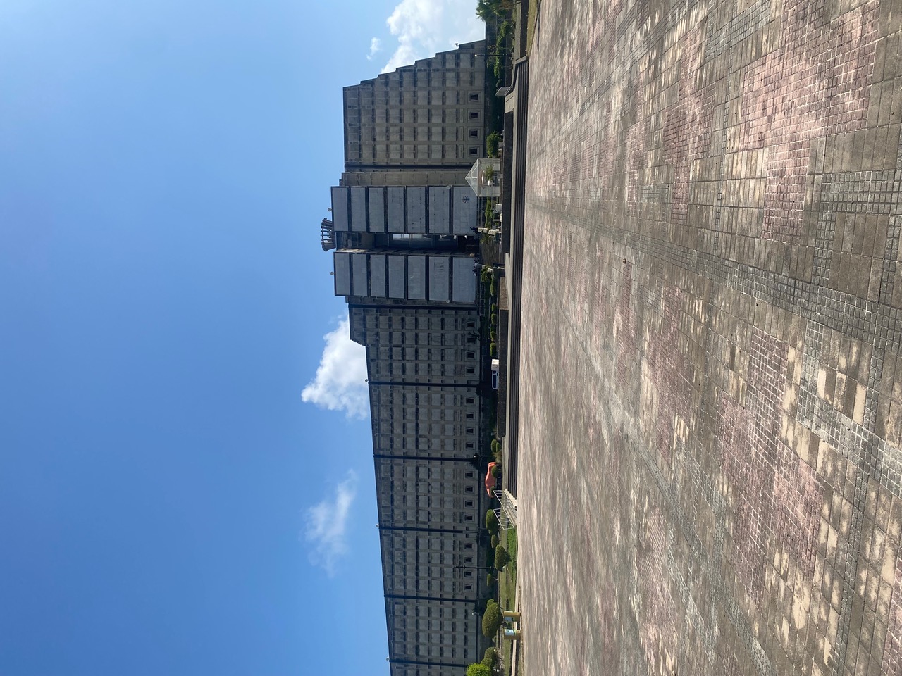 IMG_6363.jpeg