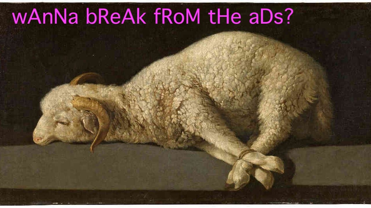 tumblr_ae56fd862cdb011b6fac1977a9ab0f27_39ed1a7b_1280.jpg