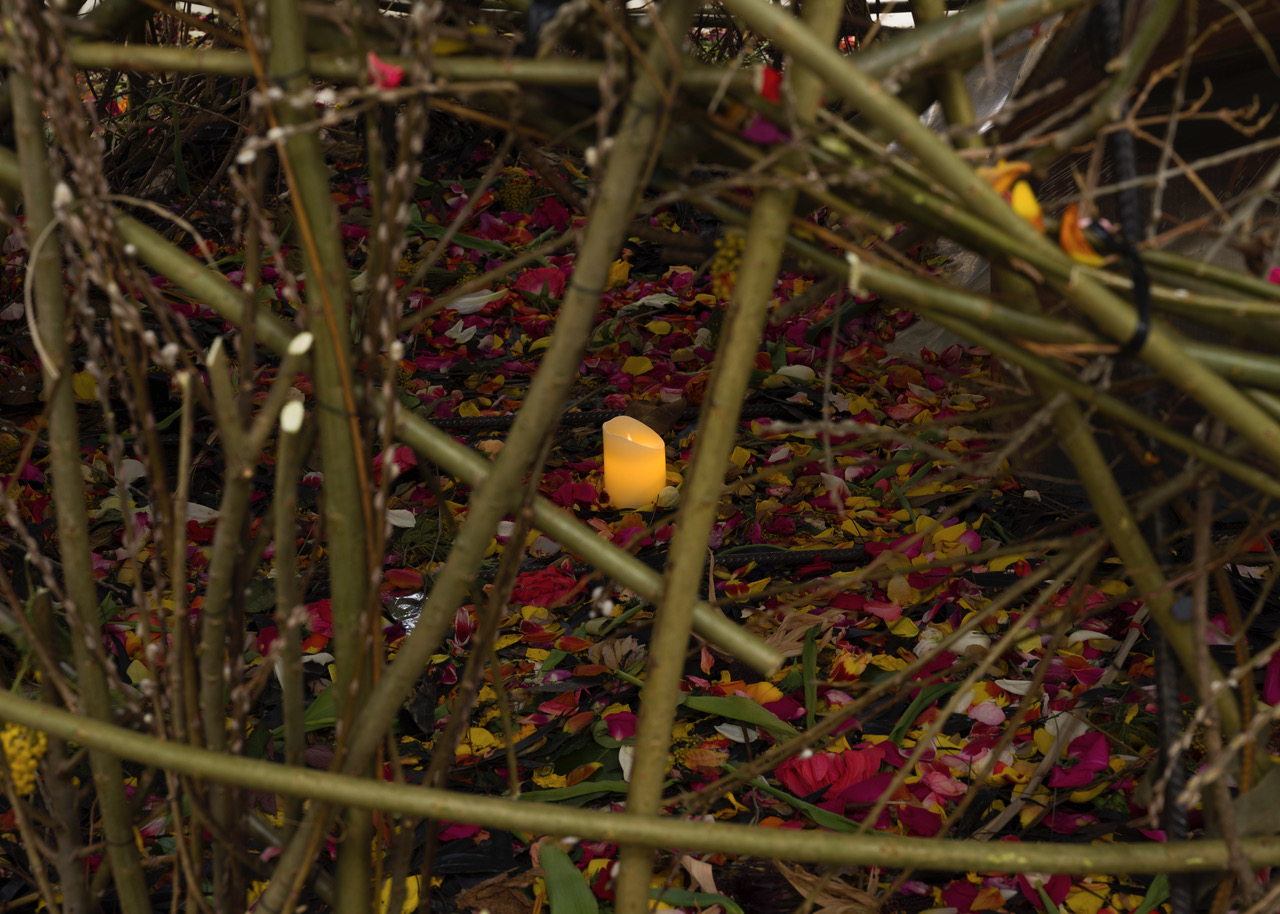 Kunstverein-Muenchen_Flower+Planet_25.jpeg