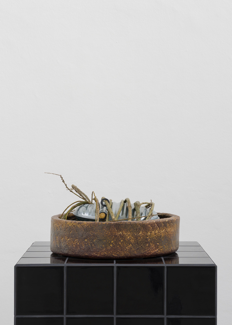 Kunstverein-Muenchen_Flower+Planet_30.jpeg