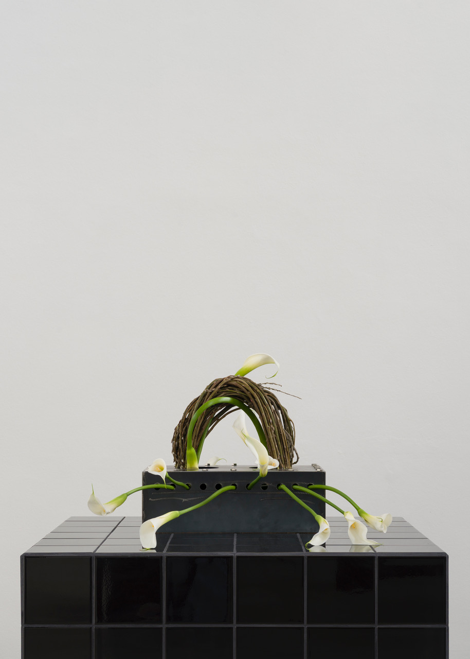 Kunstverein-Muenchen_Flower+Planet_32.jpeg