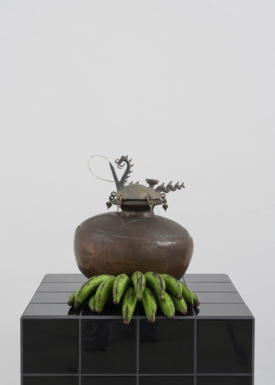 Kunstverein-Muenchen_Flower+Planet_36.jpeg