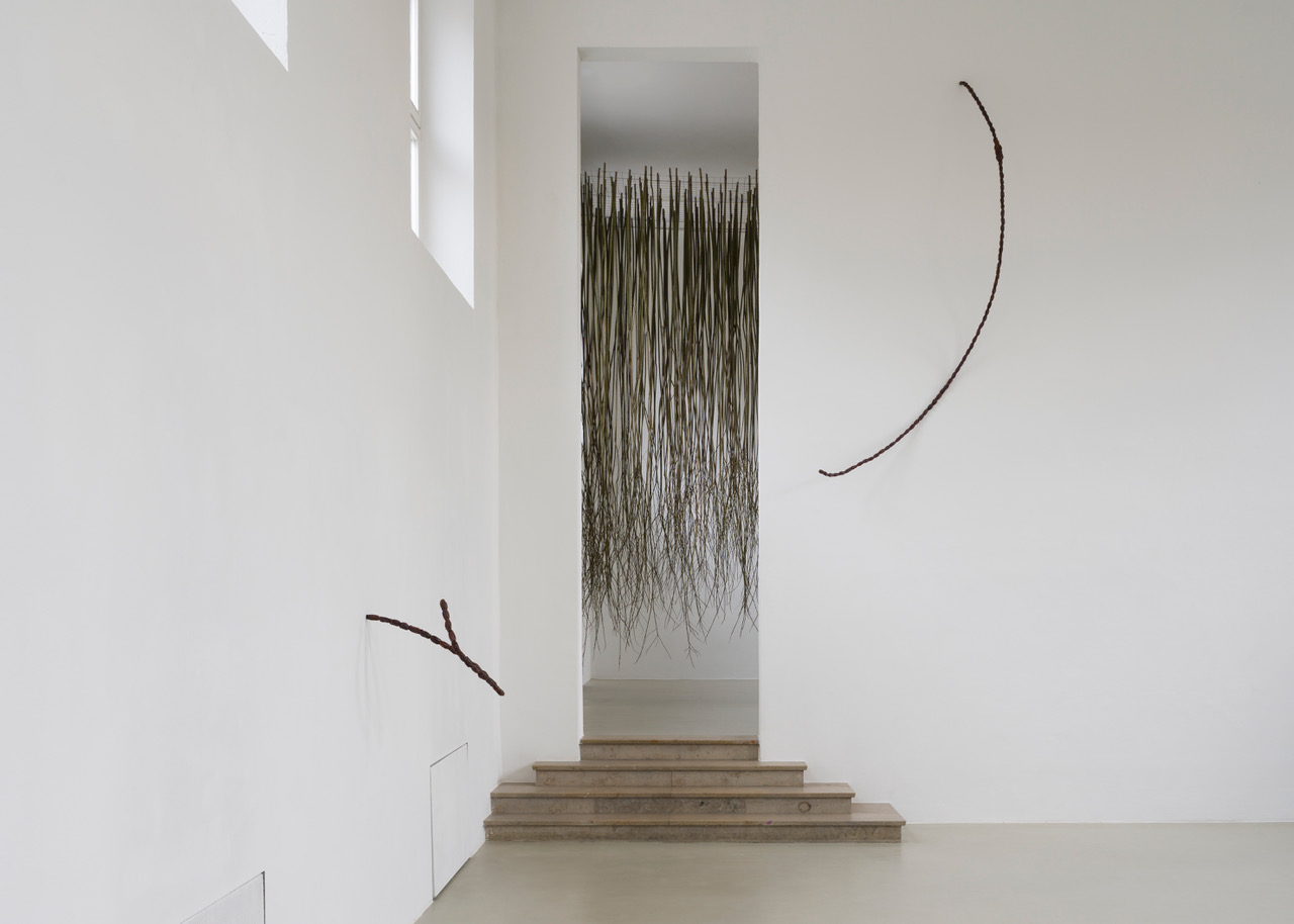 Kunstverein-Muenchen_Flower+Planet_42.jpeg