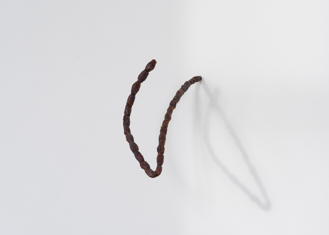 Kunstverein-Muenchen_Flower+Planet_44.jpeg