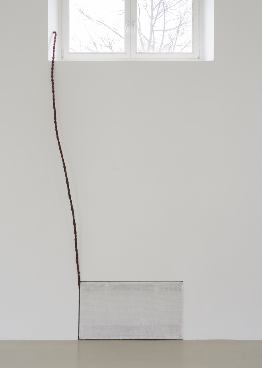 Kunstverein-Muenchen_Flower+Planet_45.jpeg